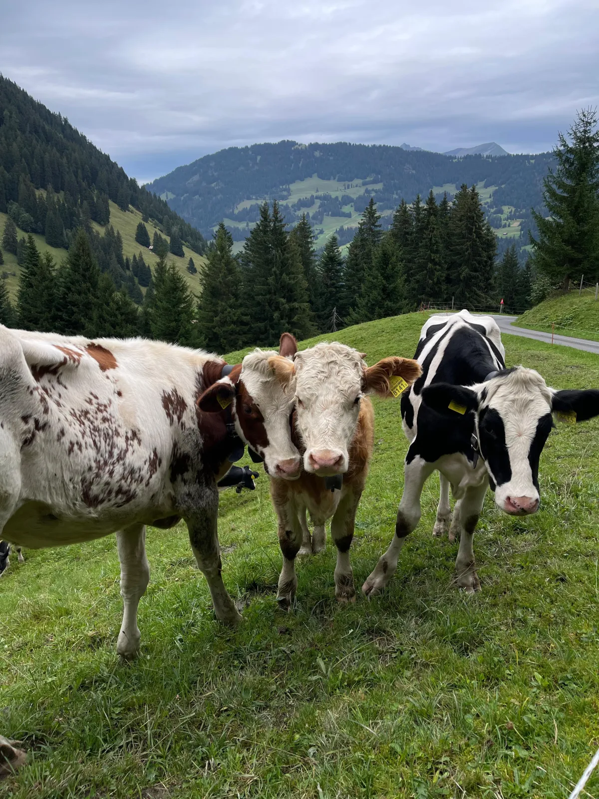 Wanderung