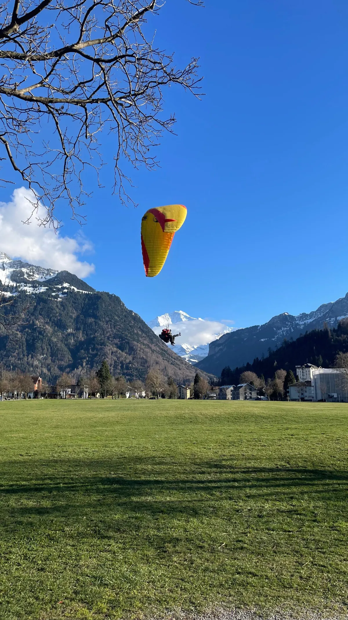 Thunersee