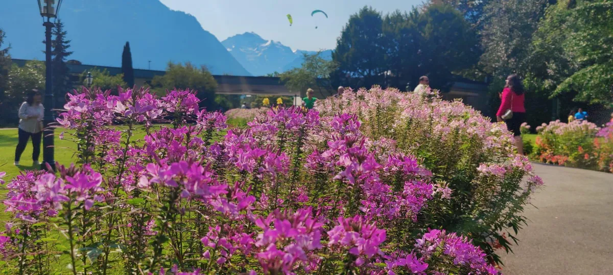 Ausflugsziele